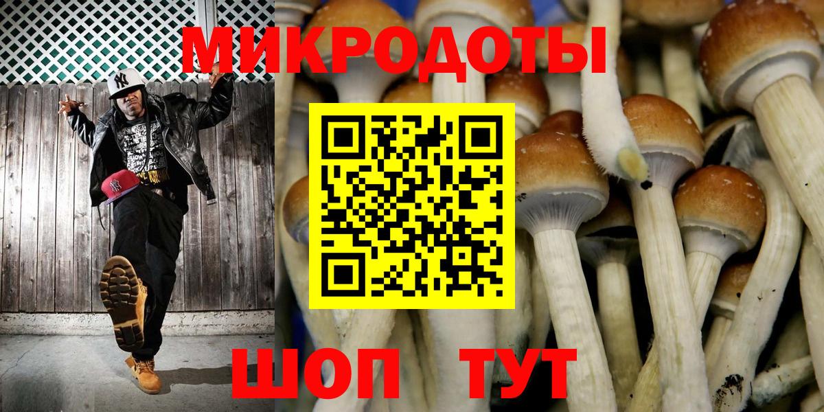 Псилоцибиновые грибы прущие грибы Ленинск-Кузнецкий