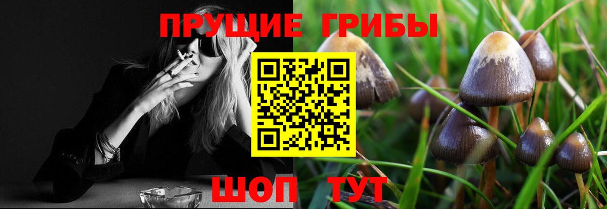 Ленинск-Кузнецкий  Галлюциногенные грибы GOLDEN TEACHER  Вход с VPN 